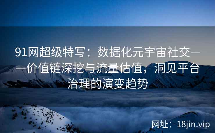 91网超级特写：数据化元宇宙社交——价值链深挖与流量估值，洞见平台治理的演变趋势  第2张