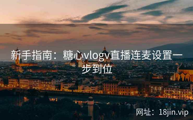 新手指南：糖心vlogv直播连麦设置一步到位