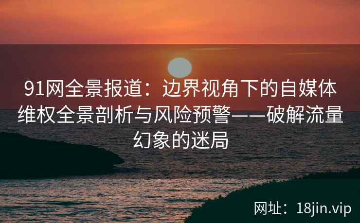91网全景报道：边界视角下的自媒体维权全景剖析与风险预警——破解流量幻象的迷局