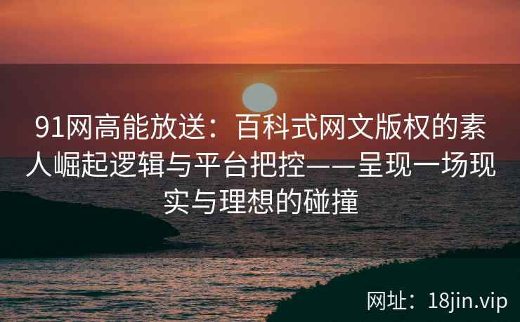 91网高能放送：百科式网文版权的素人崛起逻辑与平台把控——呈现一场现实与理想的碰撞
