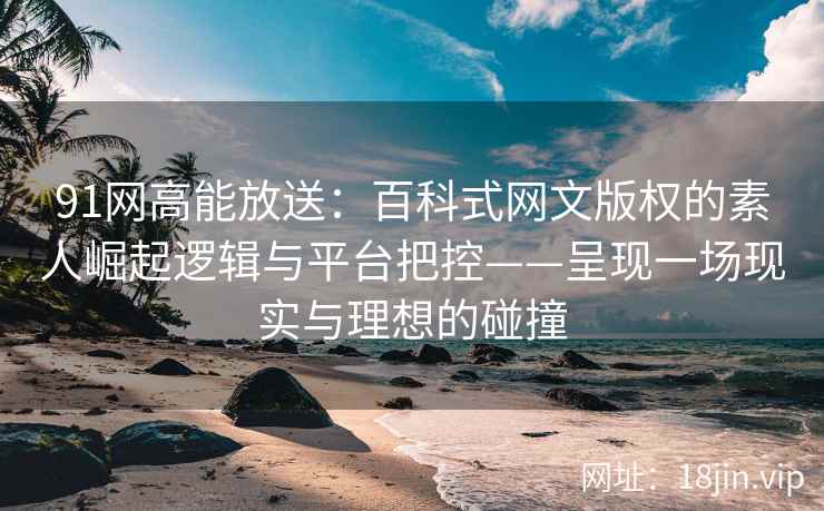 91网高能放送：百科式网文版权的素人崛起逻辑与平台把控——呈现一场现实与理想的碰撞