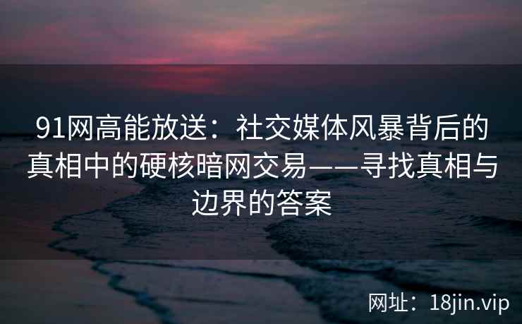 91网高能放送：社交媒体风暴背后的真相中的硬核暗网交易——寻找真相与边界的答案