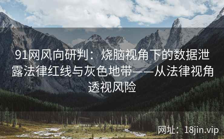 91网风向研判：烧脑视角下的数据泄露法律红线与灰色地带——从法律视角透视风险