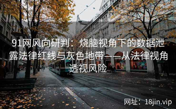 91网风向研判：烧脑视角下的数据泄露法律红线与灰色地带——从法律视角透视风险