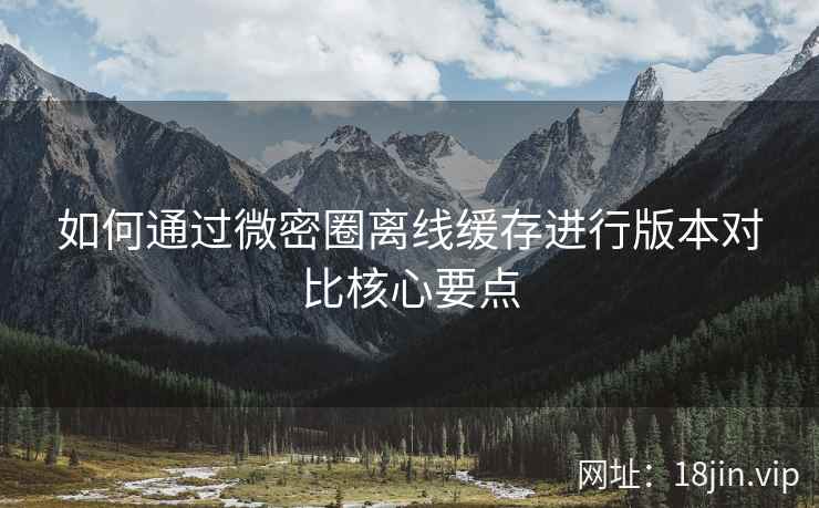 如何通过微密圈离线缓存进行版本对比核心要点  第2张