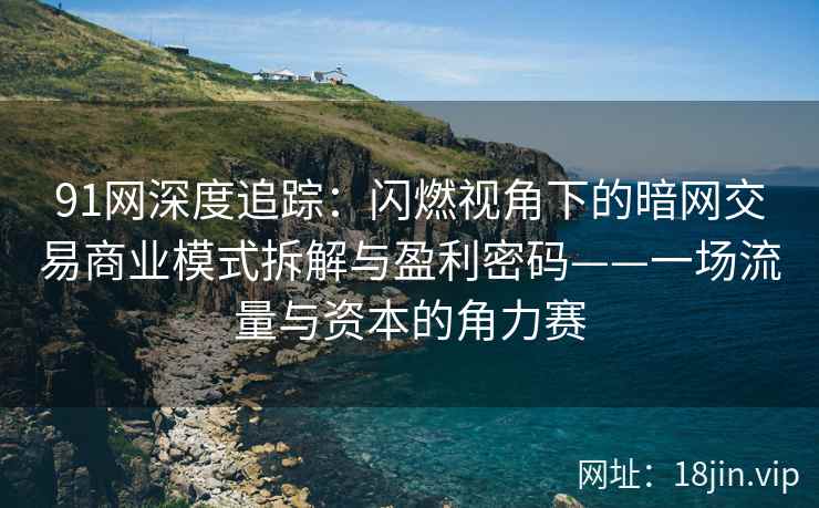 91网深度追踪：闪燃视角下的暗网交易商业模式拆解与盈利密码——一场流量与资本的角力赛